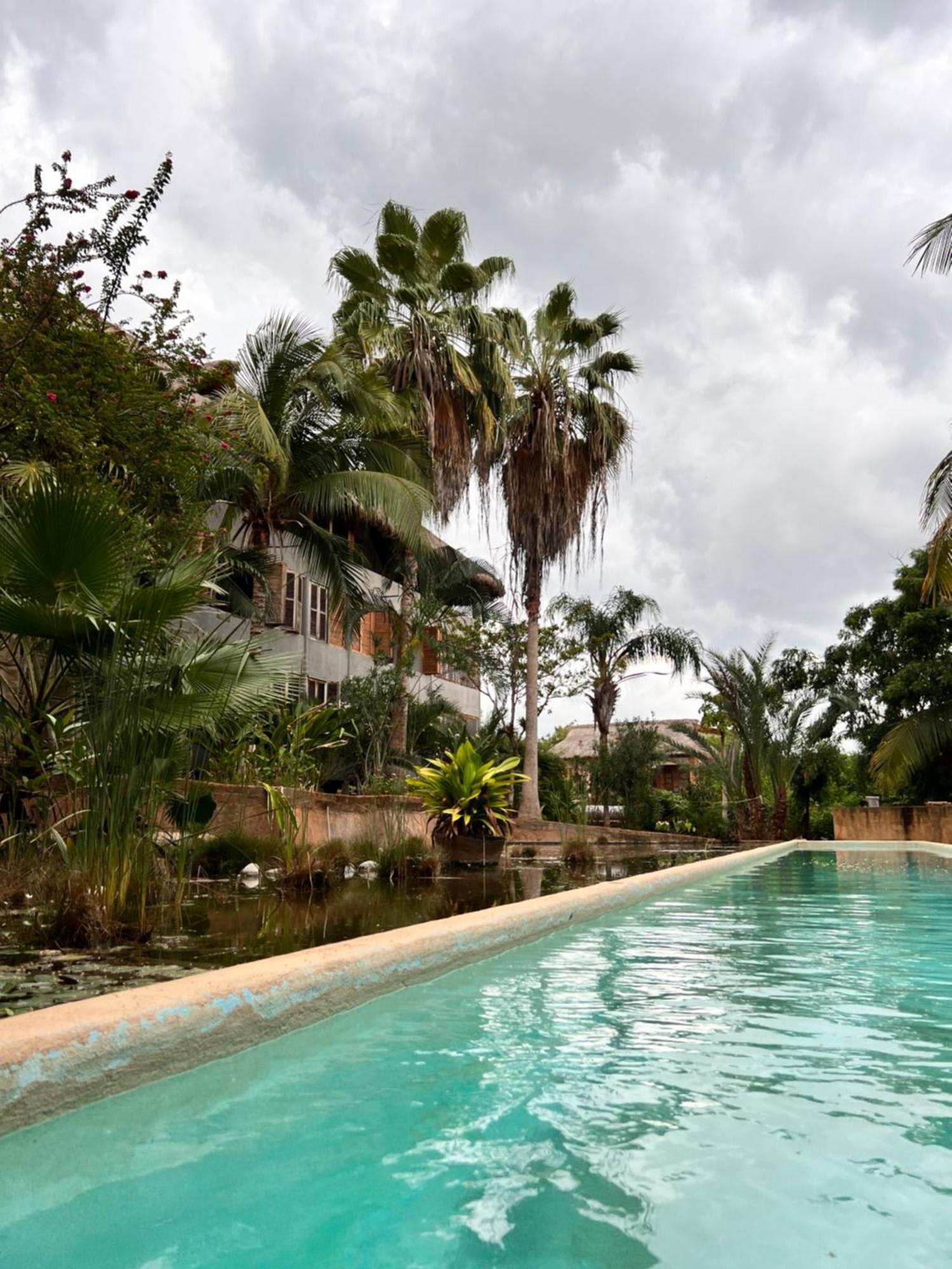 Puerto Escondido Pool, Beach Club, Starlink Wifi & Ac Paso Hondo Екстер'єр фото